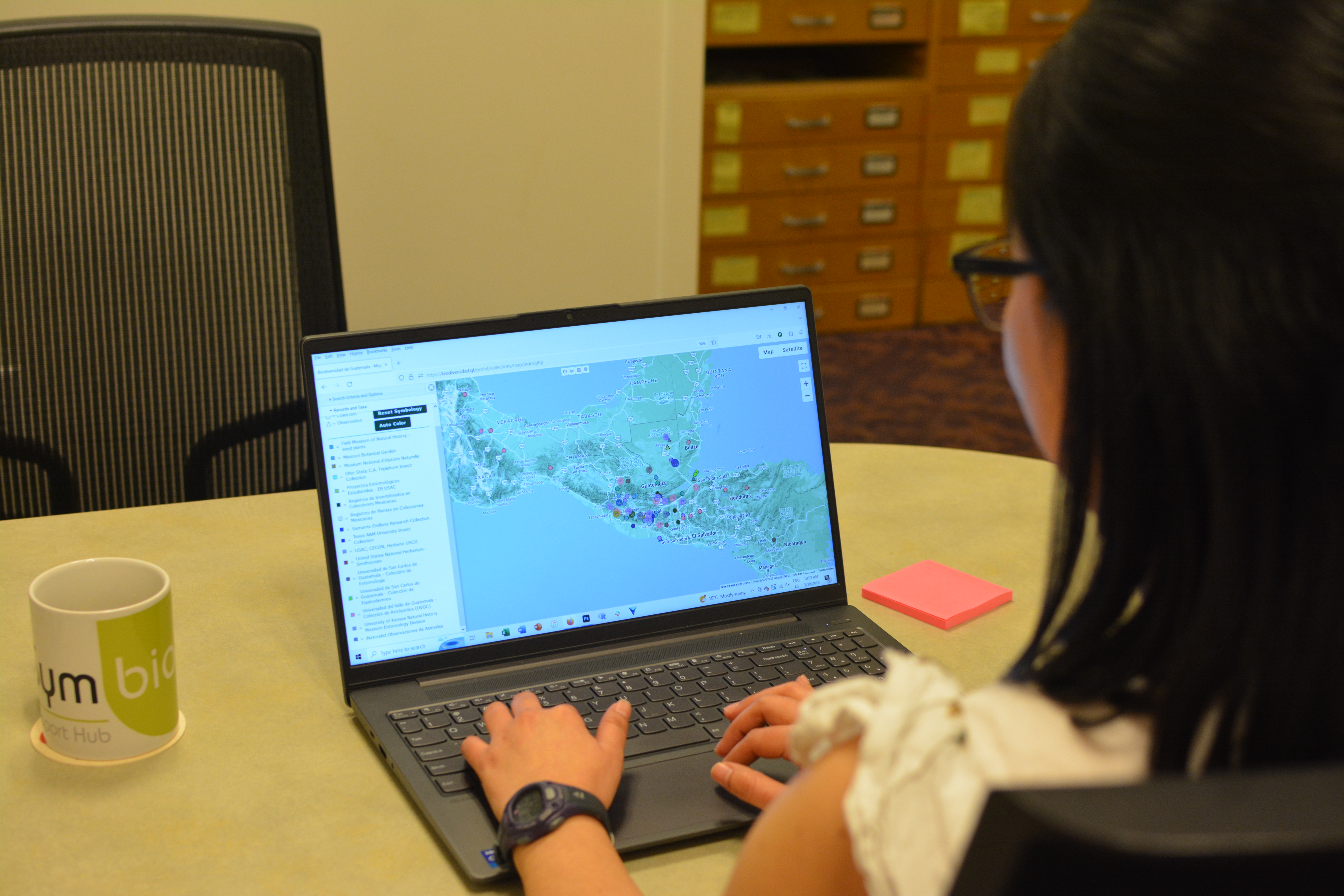 Woman looking at computer screen displaying interactive map in a Symbiota data portal