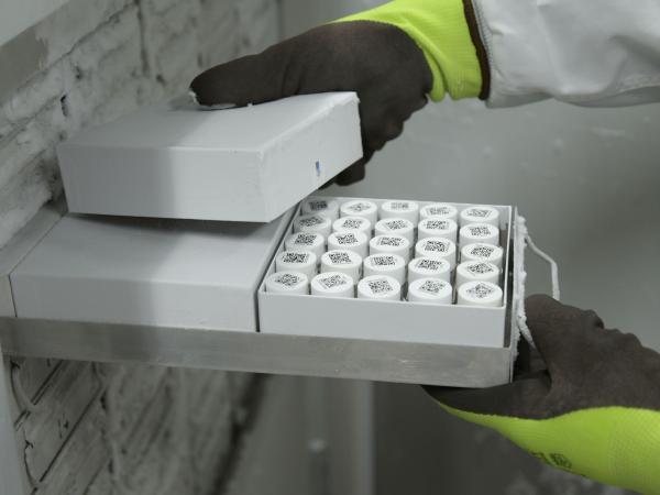 Close-up of hands removing samples from a cryogenic freezer